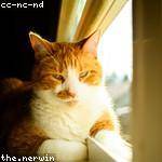 Rene Reilly Profile Picture
